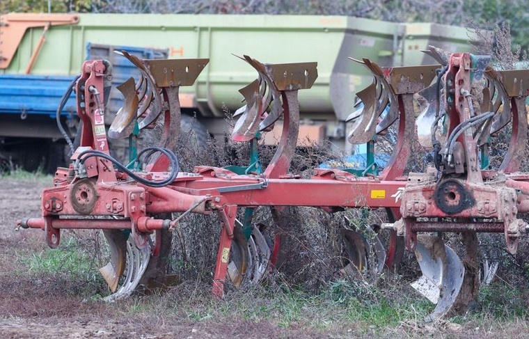    Шатохина/NEWS.ru