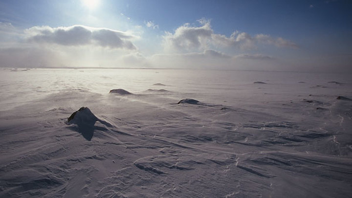 Фото: Вести.ru