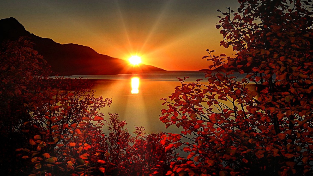 Фото взято из интернета.