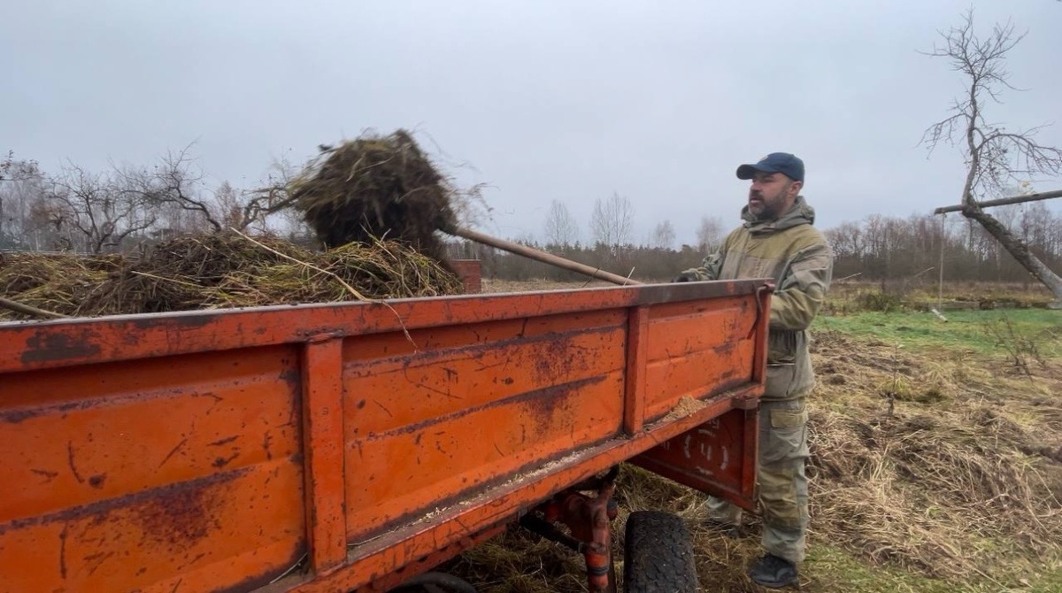 Уборка участка