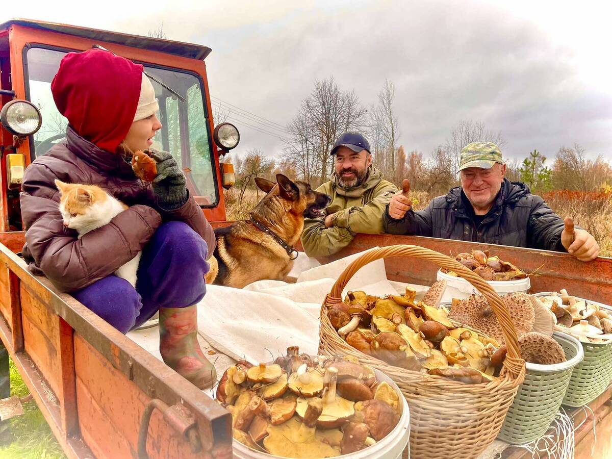 Съездили в лес за грибами