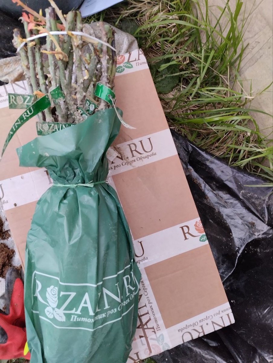 Посылка с крымскими розами