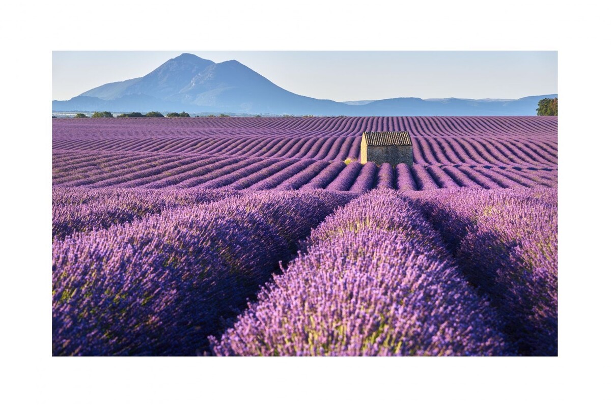 Источник: изображение взято в свободном доступе из интернета (Яндекс.Картинки).