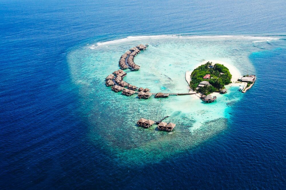 Источник: изображение взято в свободном доступе из интернета (Яндекс.Картинки).