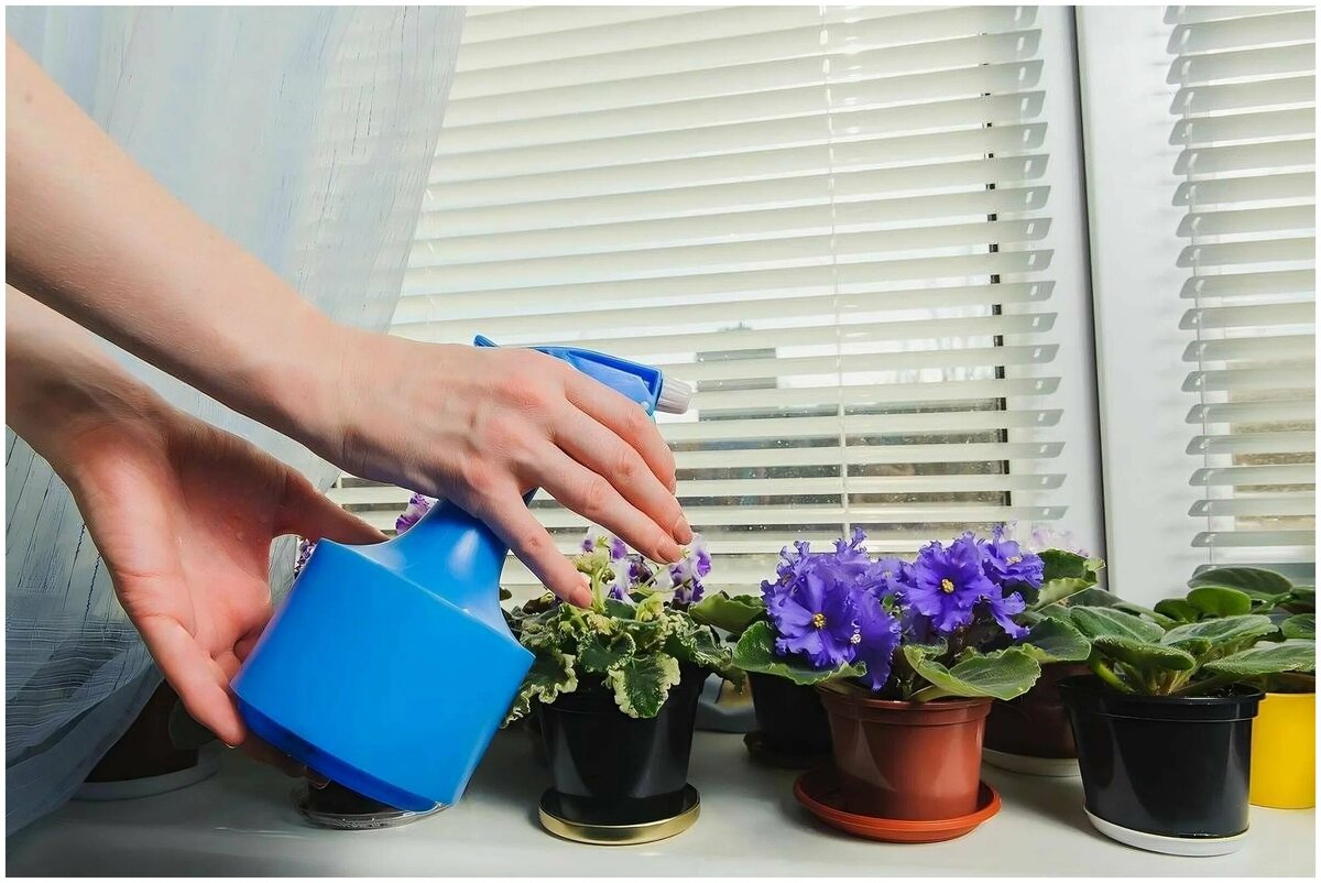 Взято из открытых источников интернета