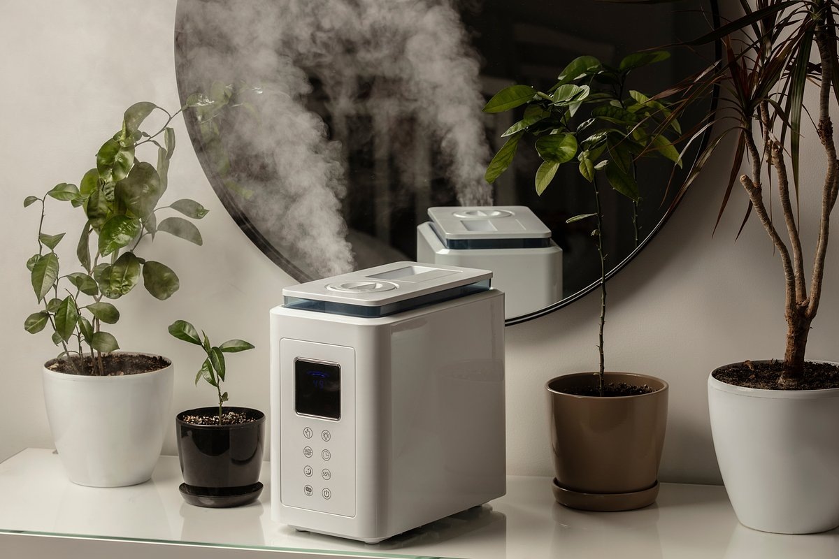 Взято из открытых источников интернета