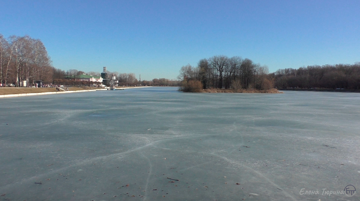 Фото: Елены Тюриной. Кусково. Большой Дворцовый пруд во льду. Март 2025 г.