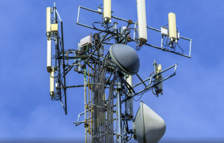    Shutterstock|FOTODOM