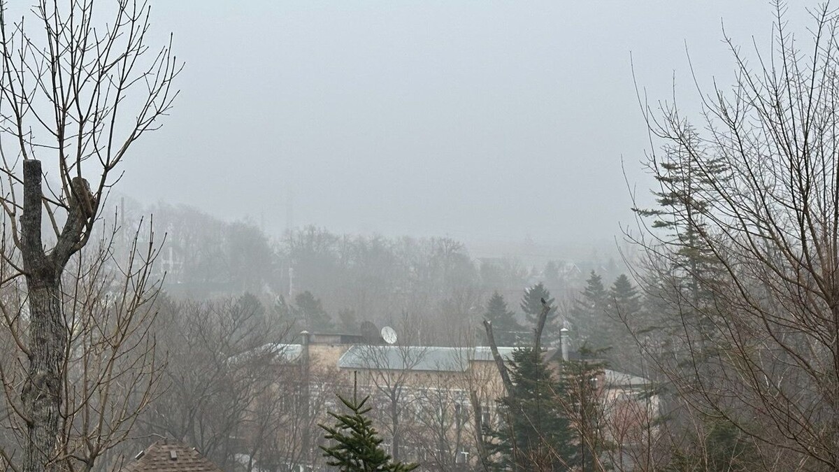     Источник: vostokmedia.com