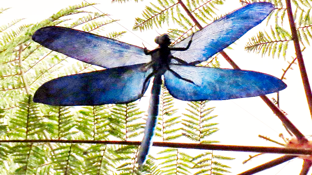 Первыми в воздух поднялись насекомые. И они были большими.