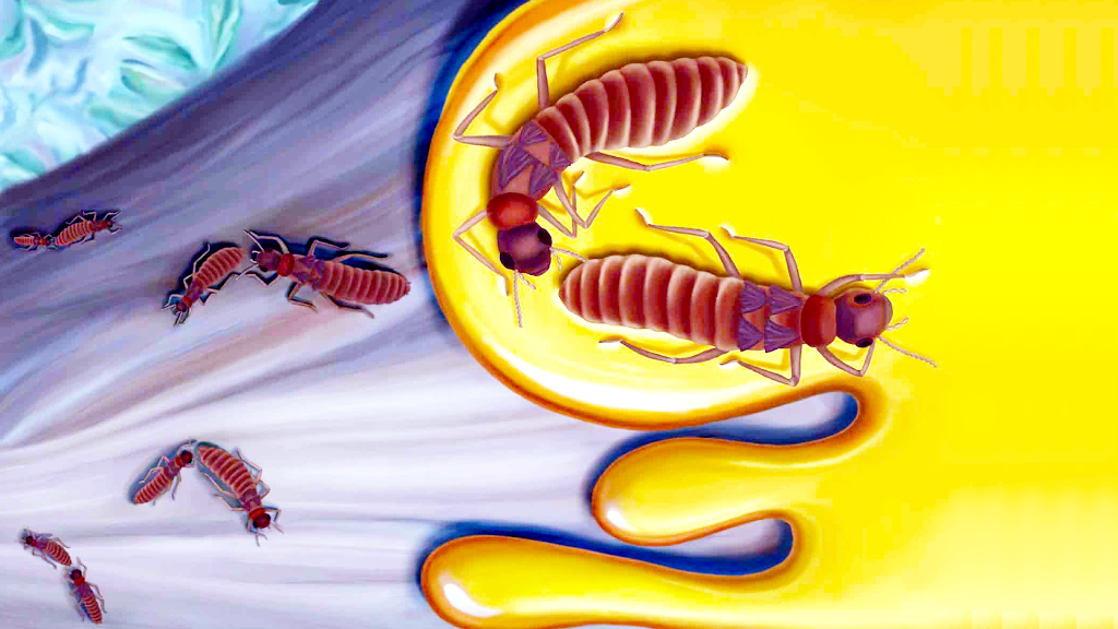 Впрочем, некоторые из них позже почти отказались от крыльев.