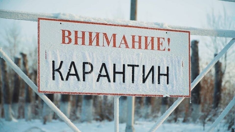    Карантин. Источник: shahrichalli.ru.