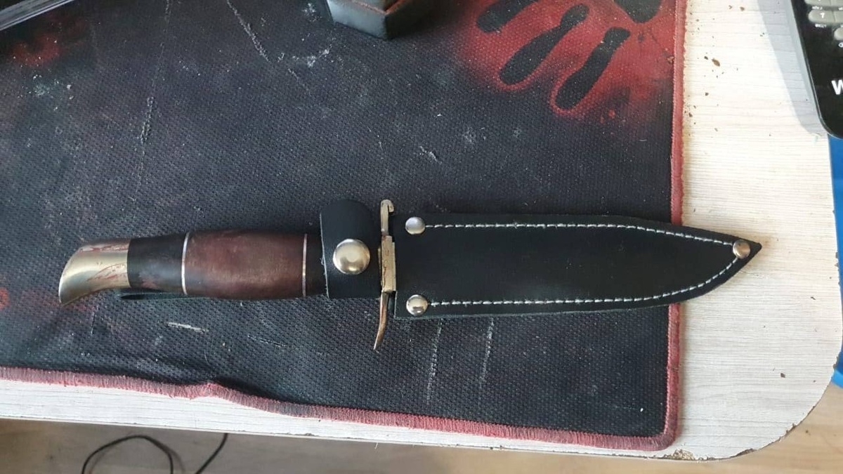     На красноярца завели уголовное дело за убийство собаки