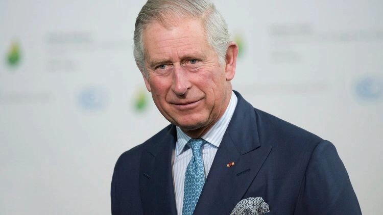    Фото: Frederic Legrand - COMEO/Shutterstock/Fotodom