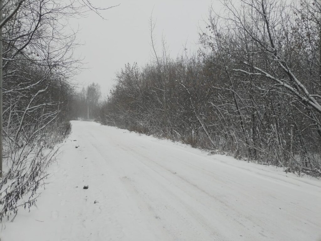    Фото: В курсе.ру Полина Анкушина