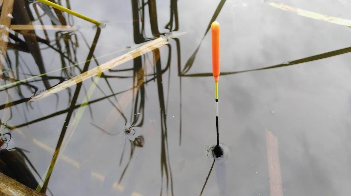 Ловля карася в марте на поплавочную удочку. Источник фото ru.pinterest.com