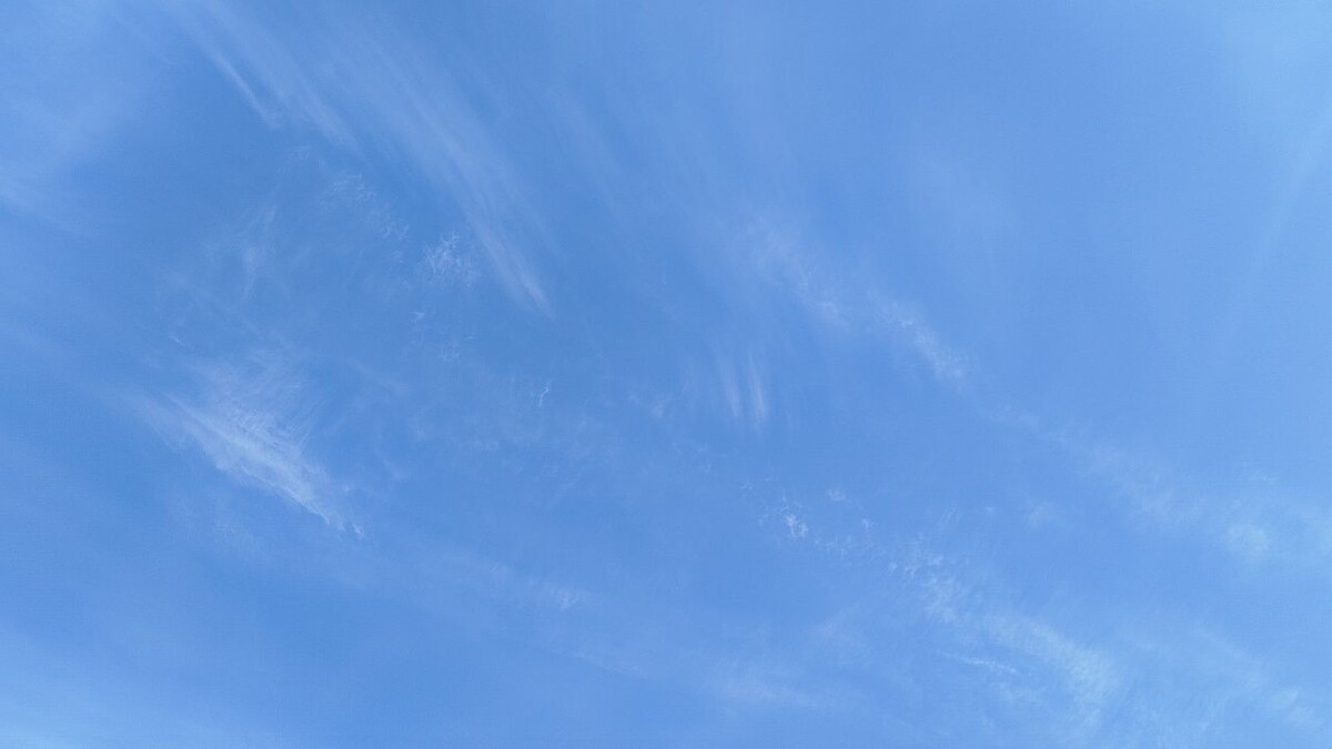    Фото: телеканал «Краснодар»