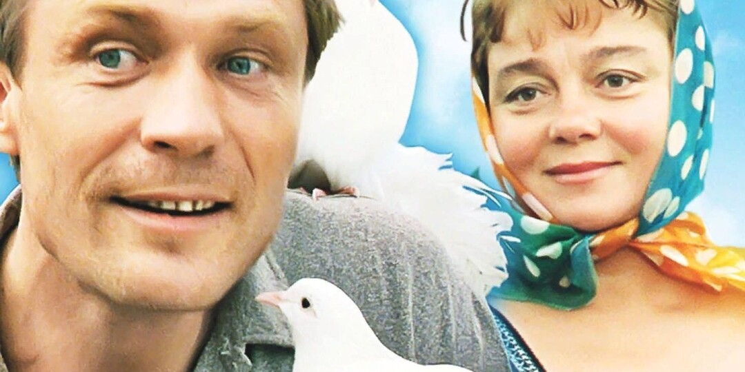 "Любовь и голуби" — история о любви, семье и увлечениях