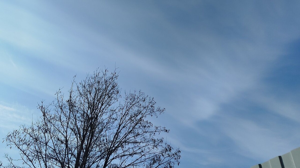    Фото: телеканал «Краснодар»