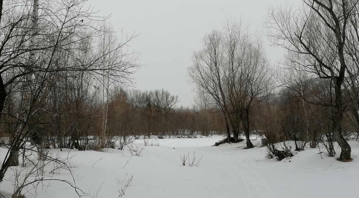 Это уже днём, но всё равно зима-зима.