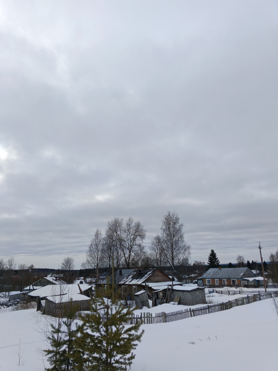 фото автора: наш поселок