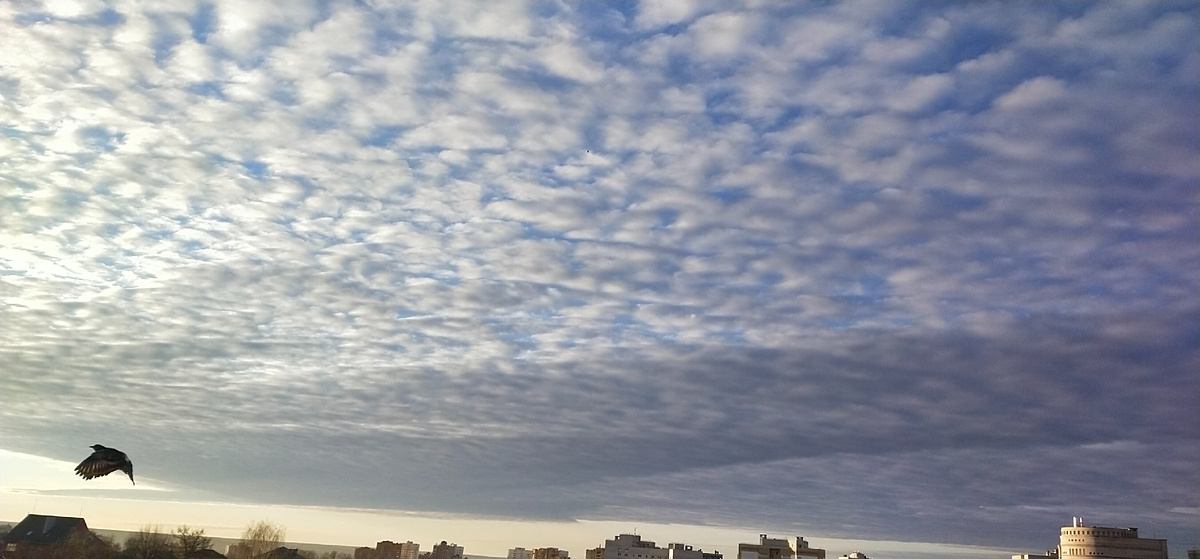 Личное фото