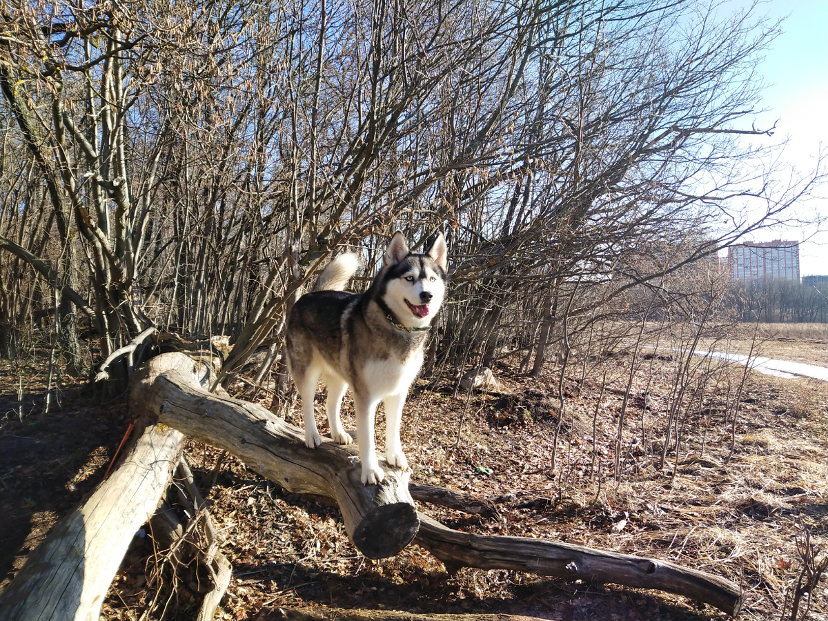 Личное фото