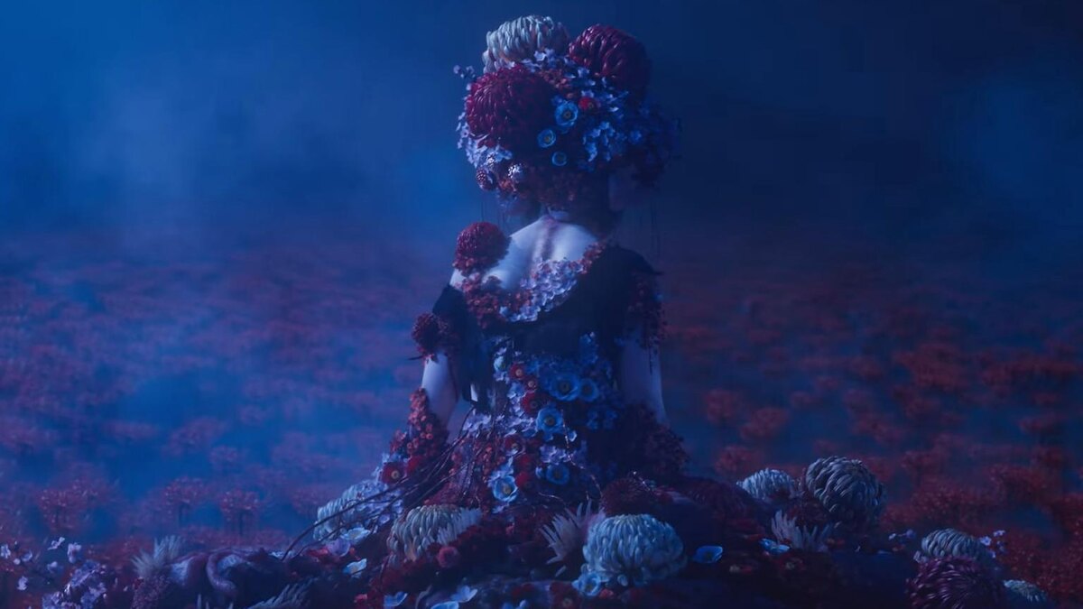 Картинка взята и открытых источников