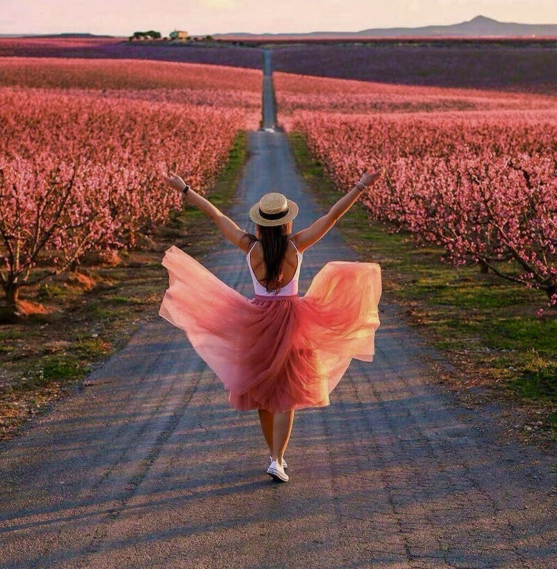 Картинка с просторов интернета