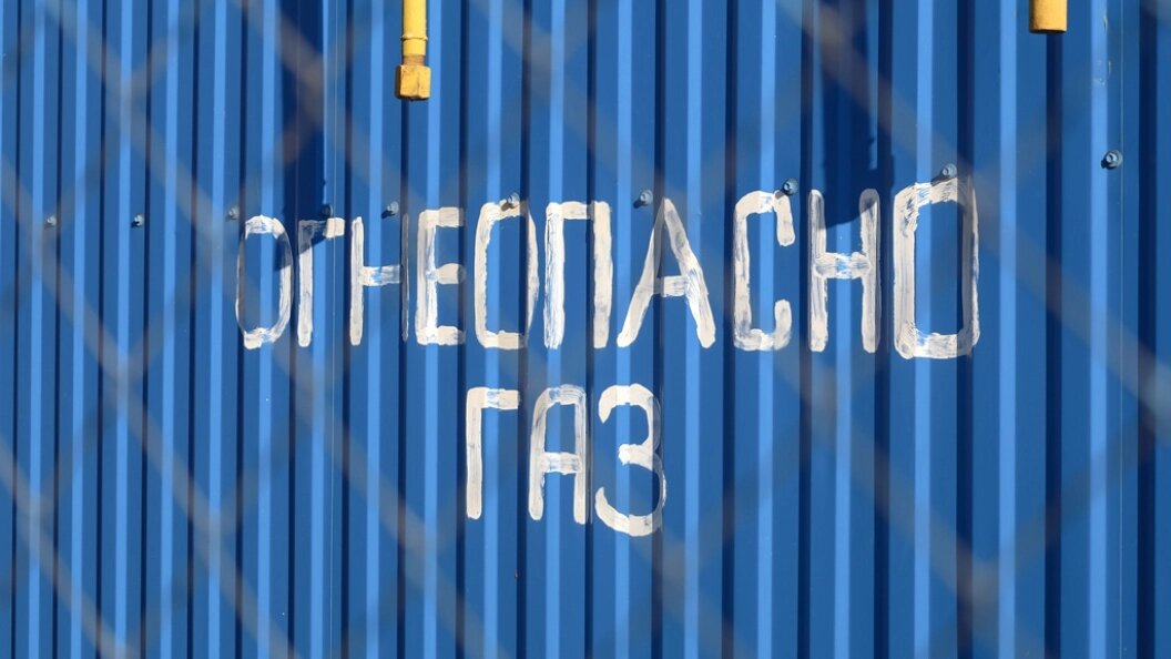    Фото: Elena Mayorova/Globallookpress