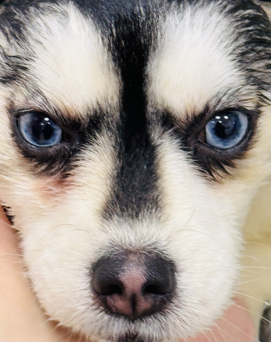 Авторское фото.