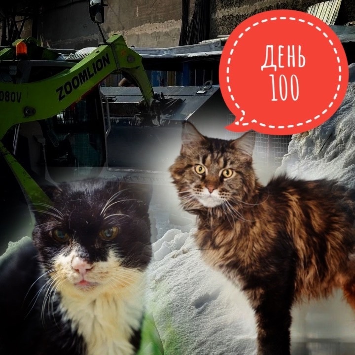 Хоспис нуждается в вашей помощ...