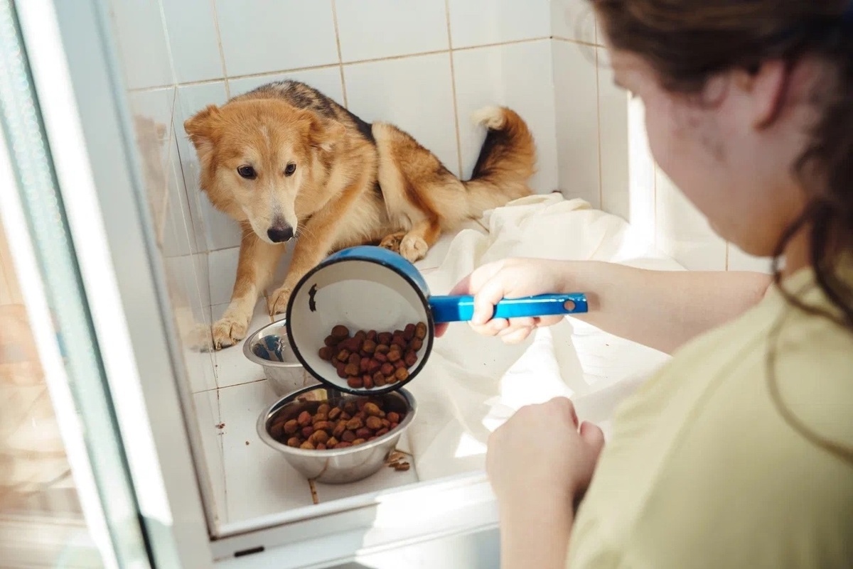 Вчера мы оплатили аренду! А это со всеми коммунальными услугами около 100 000 рублей