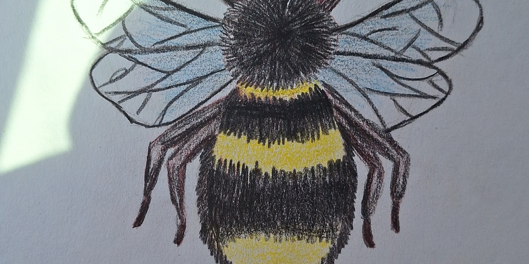 Наша третья зимовка с пчелами, и в новь результаты не радуют.