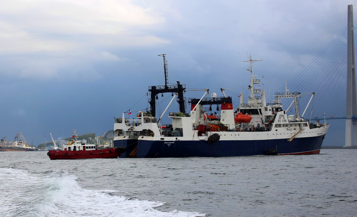 А это российское рыбодобывающее судоно: БМРТ Иван Калинин, Японское море (близ Владивостока): год постройки 1988, длина 104,5 м (342 фута), порт приписки Советская Гавань.