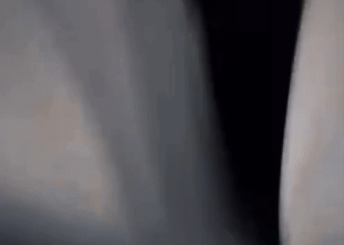    Повидавшие жизнь мужики доставляют режиму проблемы на всём пути, от военкомата до окопа: сначала их нужно ловить на улицах, затем везти на фронт в автобусах с решётками на окнах. Источник: ТГ-канал Говорит ТопаZ [ESP]