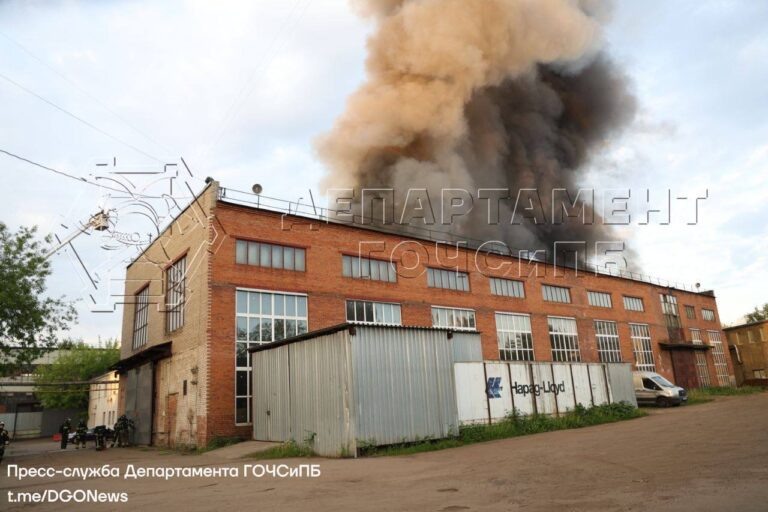    Фото: t.me/DGONews Анна Мигинеишвили