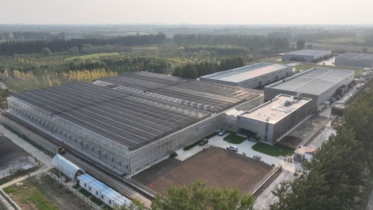    В Китае заработал новый научный суперцентр размножения растений ускоренной селекции