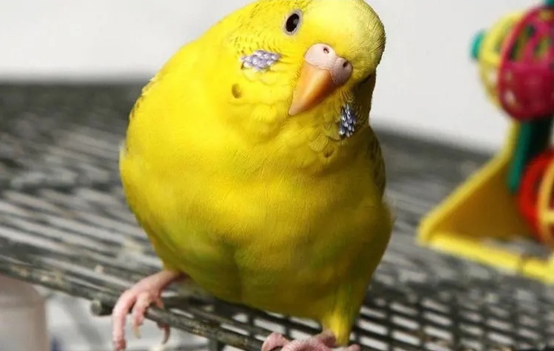 Профилактика стресса