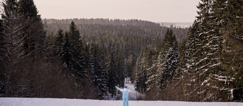    Мороз и солнце ожидаются в середине марта в КарелииИрина Меркова
