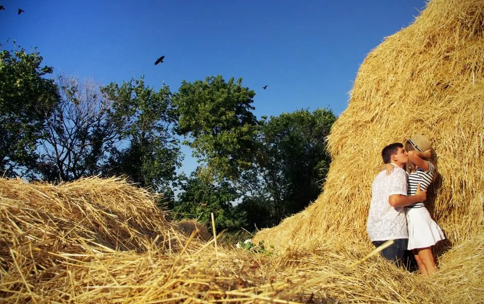 Яндекс картинки