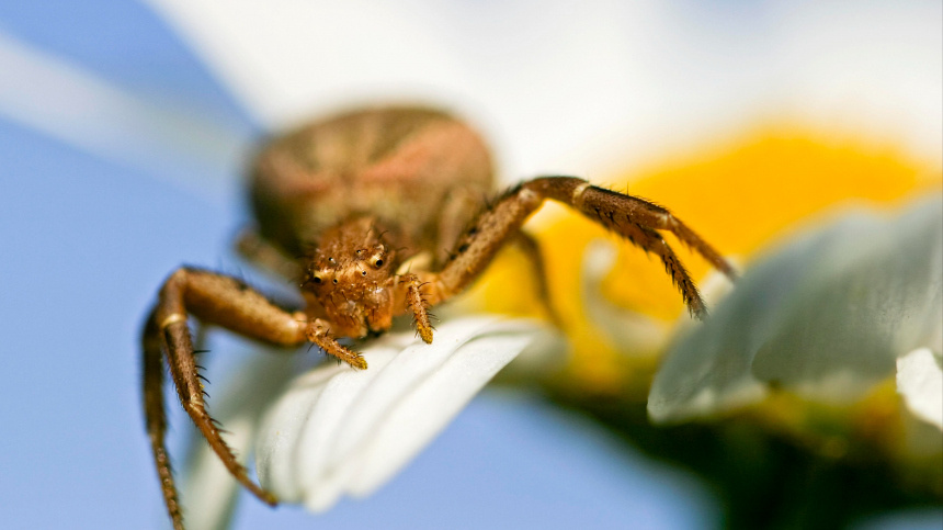   Фото: www.globallookpress.com/Christian Heinrich