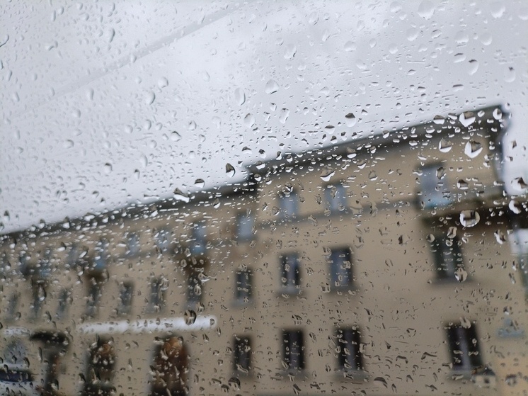     В некоторых районах возможны кратковременные дожди. Фото: МК в Питере