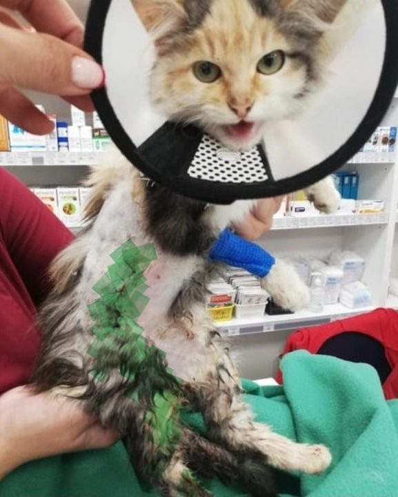 Вот такой была после операции