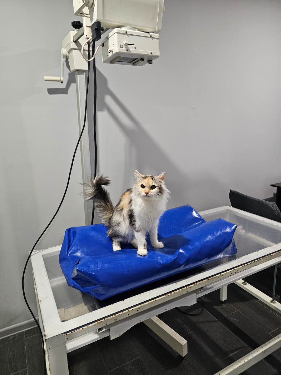 Делаем рентген в клинике