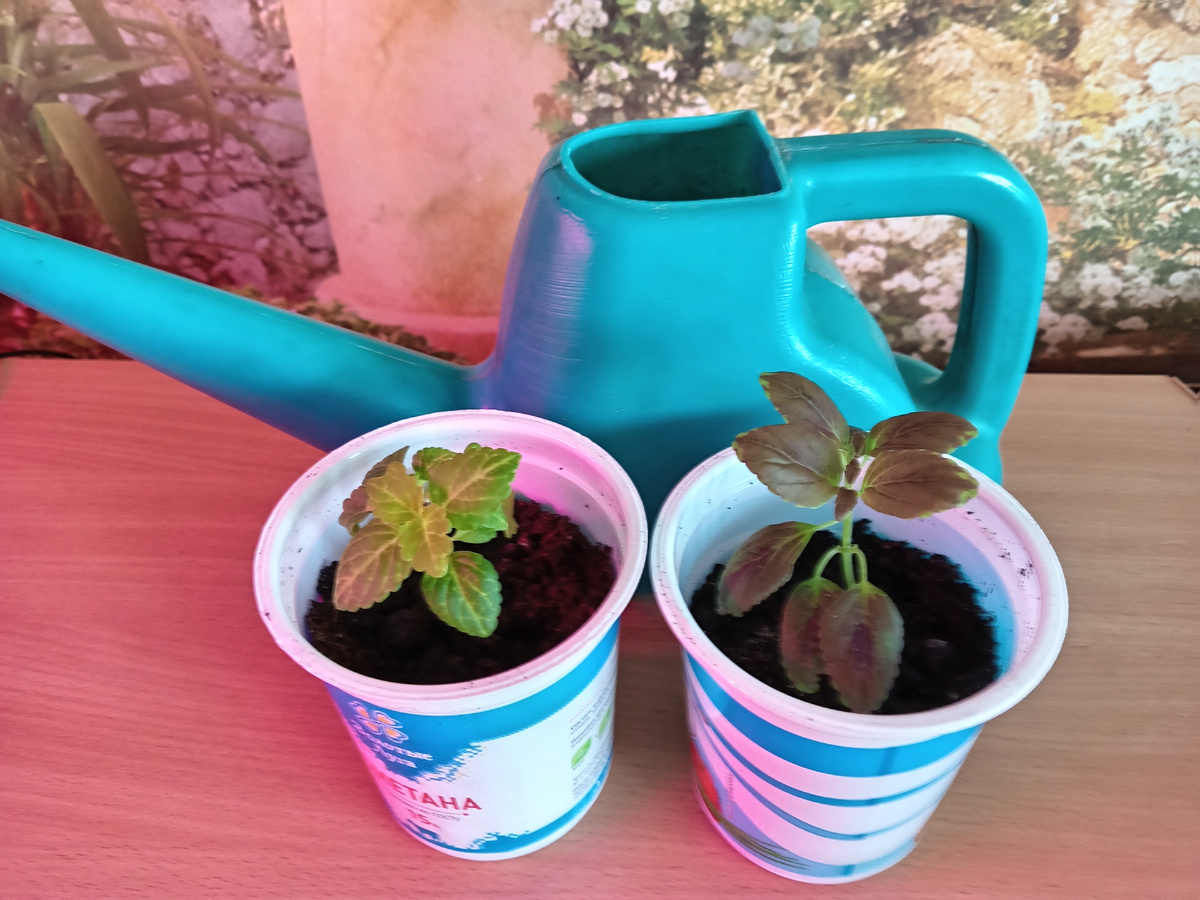 Фото из личного архива автора. 