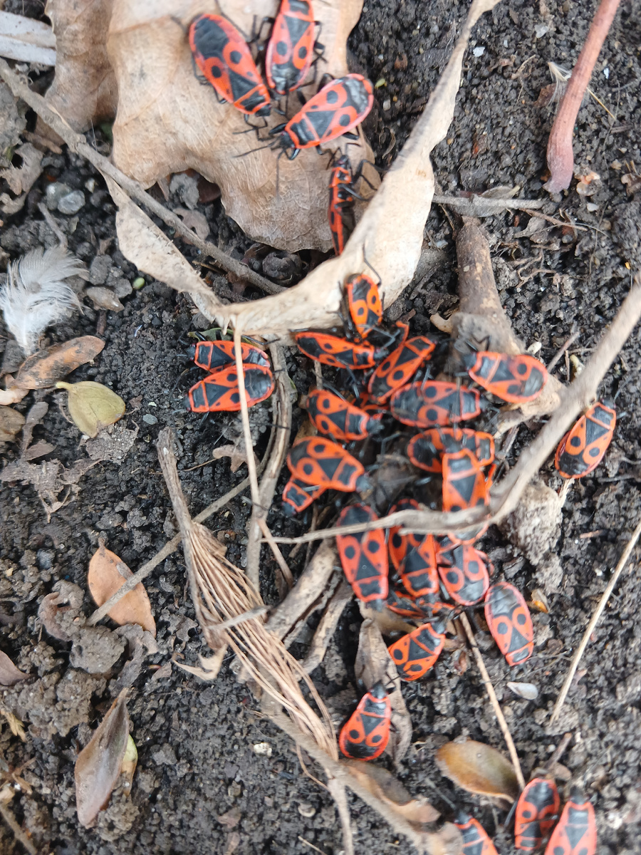 Яркий, как сегодняшний день