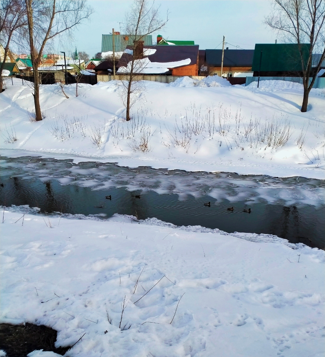 снег немного тает, а отопление держится на максимальном уровне. Спасают частые проветривания и увлажнитель воздуха. 