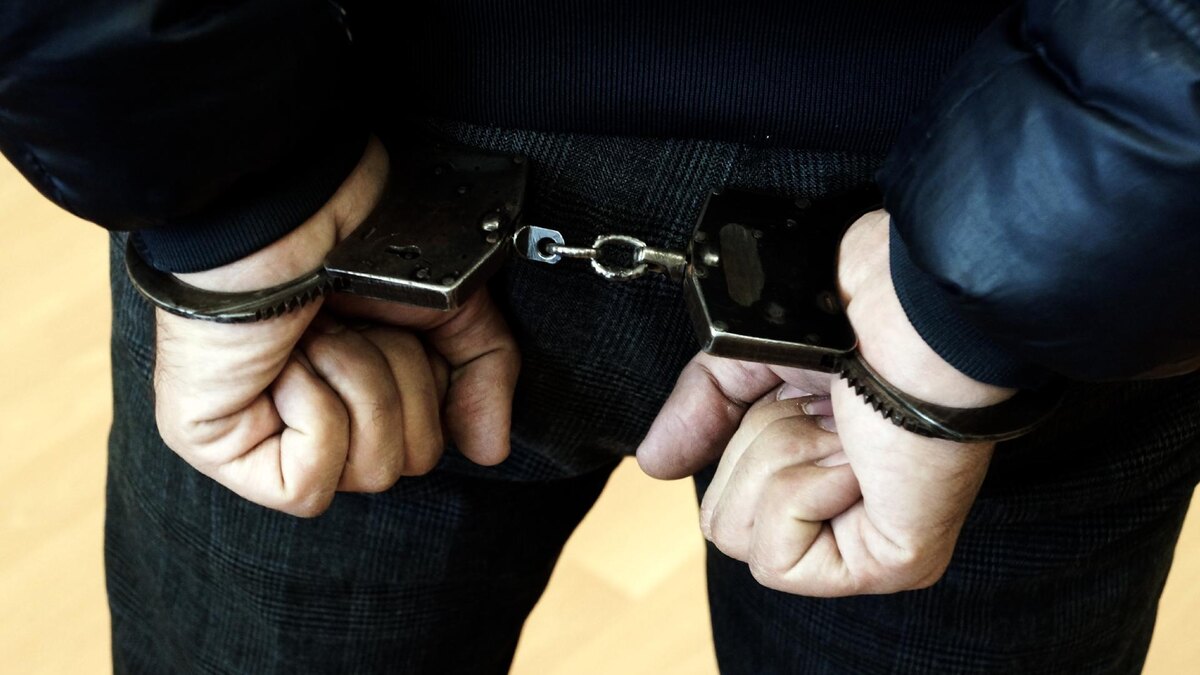    Фото: МВД-Медиа