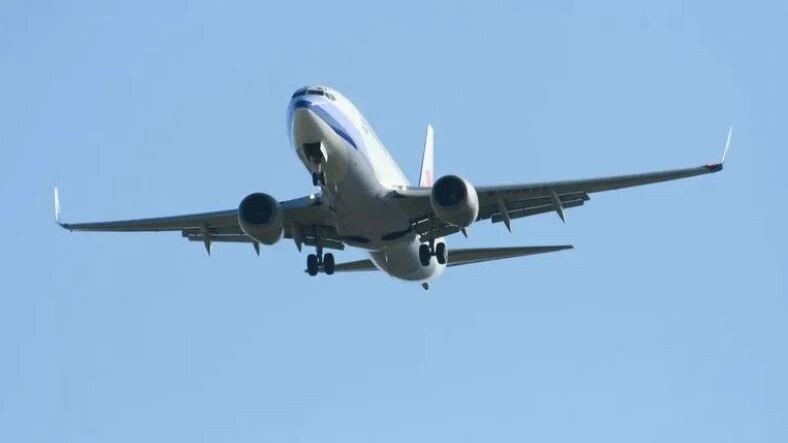    Фото: nitinut380/Shutterstock/Fotodom